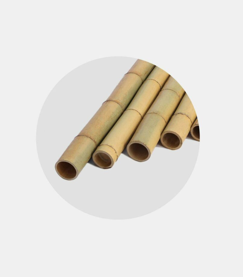 kormos bamboo 2