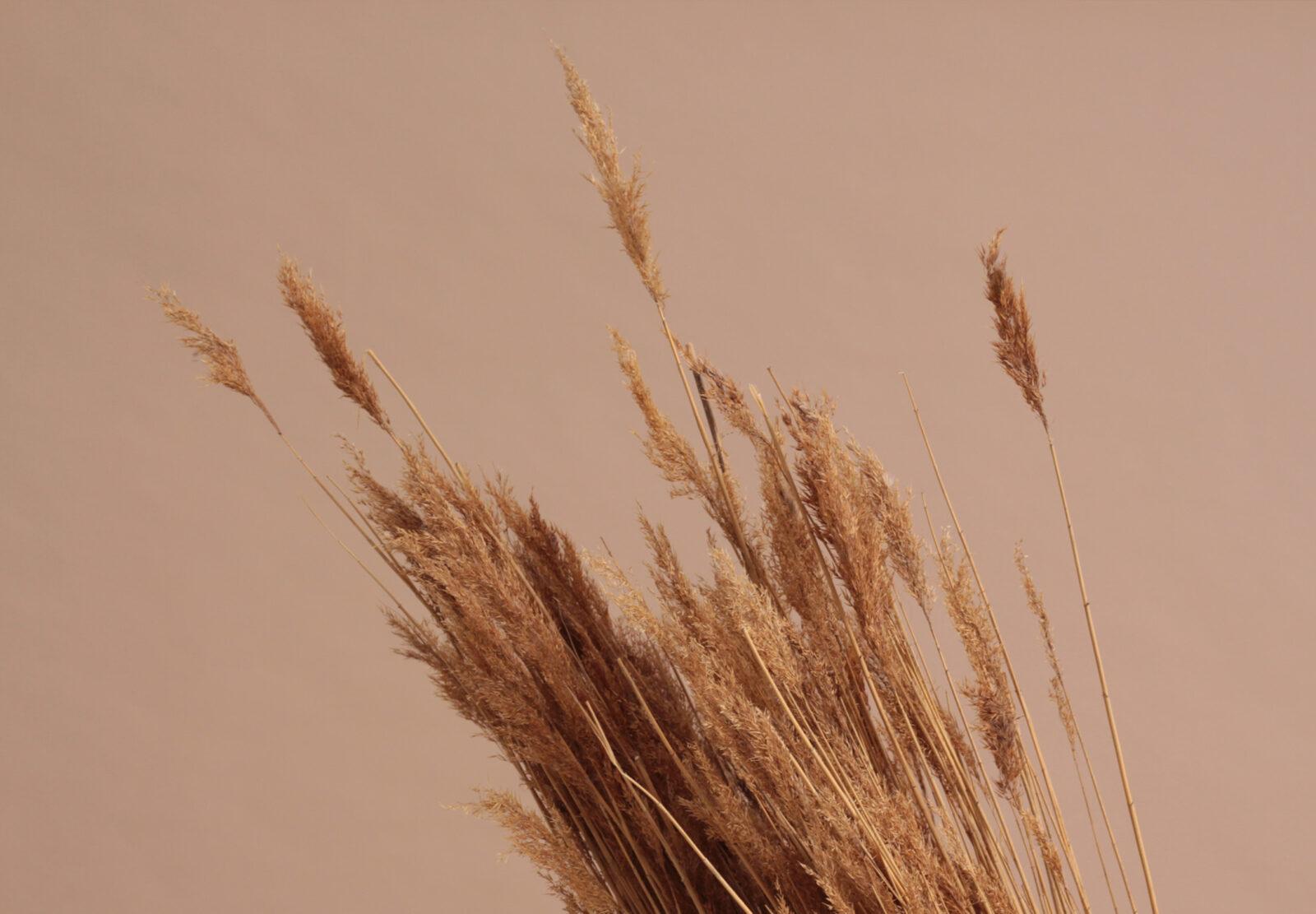 Δημιούργησε το τέλειο σκηνικό για τον κήπο σας